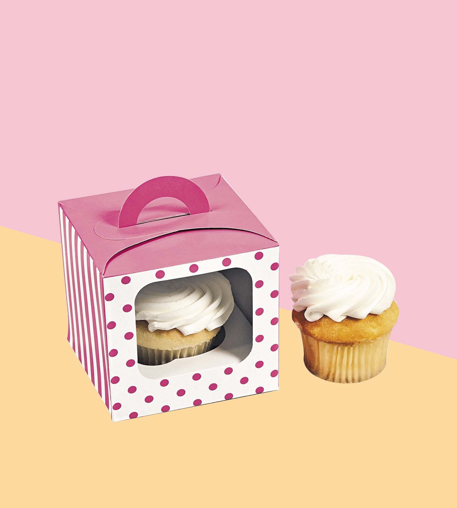 Individual Cupcake Boxes 